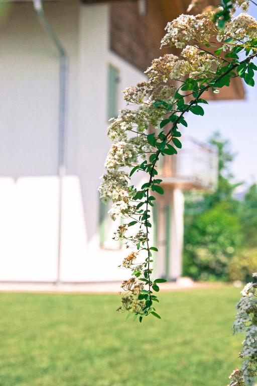 Agriturismo Locanda De L'Arguta Trento Eksteriør bilde